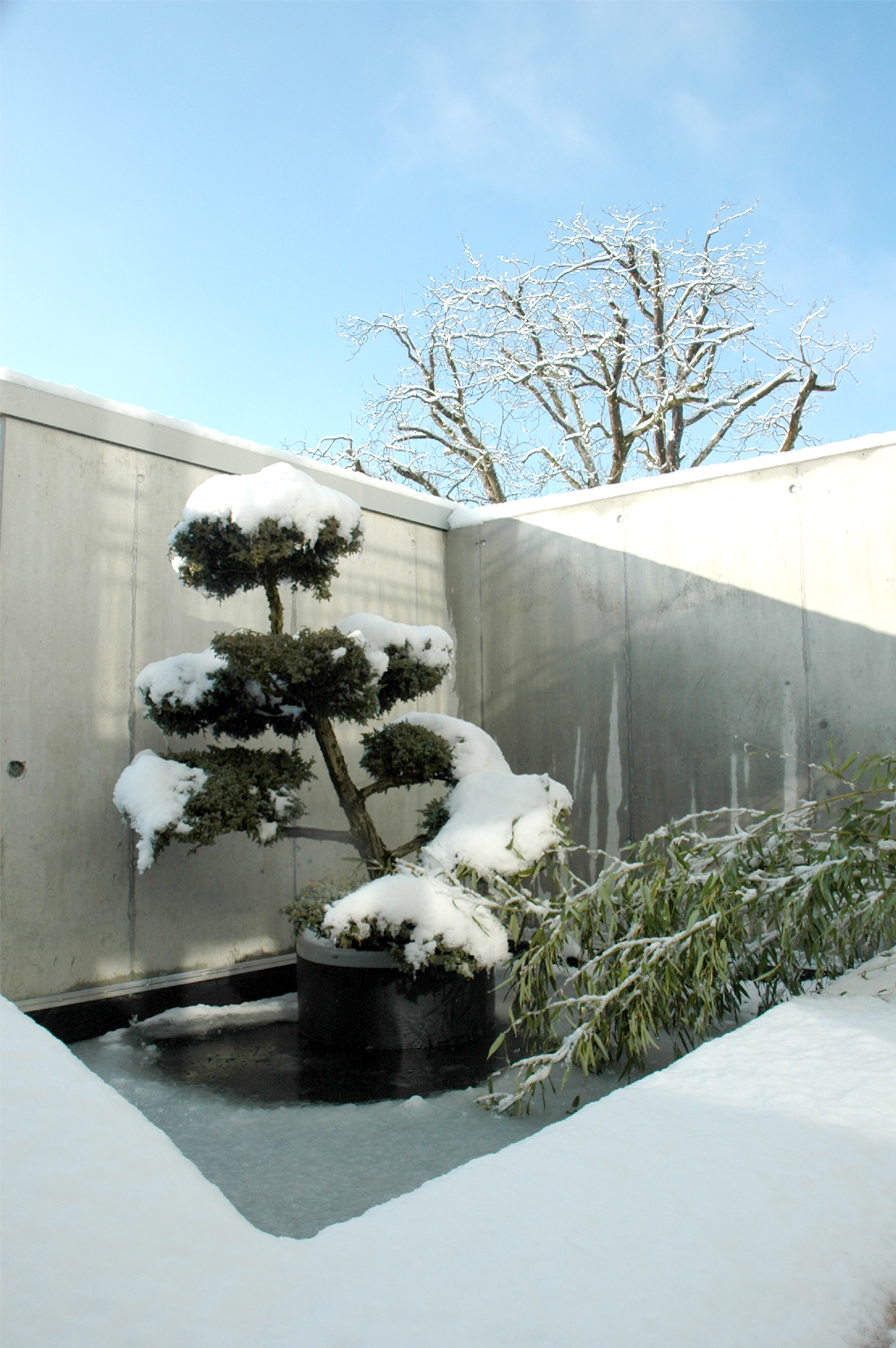 Der japanische Garten im Winter